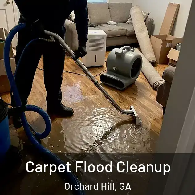  Carpet Flood Cleanup Orchard Hill, GA
