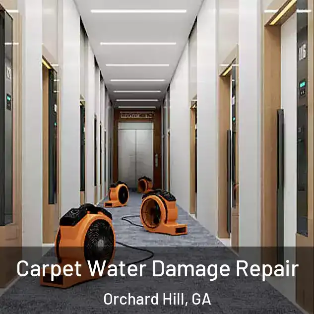  Carpet Water Damage Repair Orchard Hill, GA