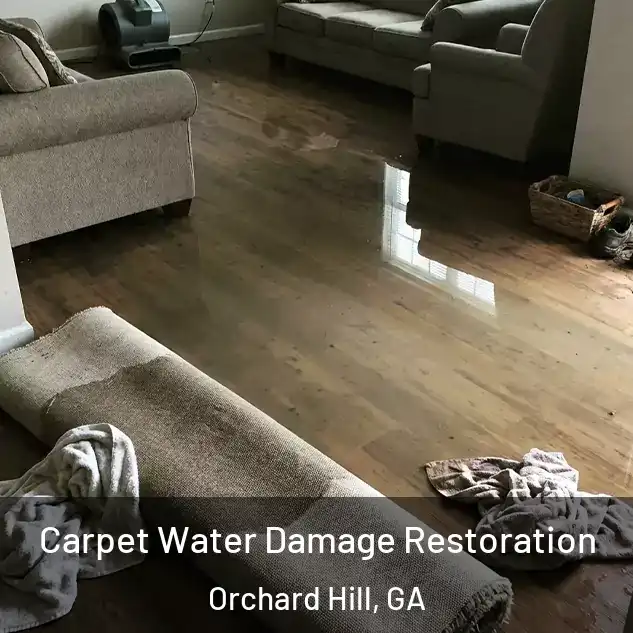  Carpet Water Damage Restoration Orchard Hill, GA