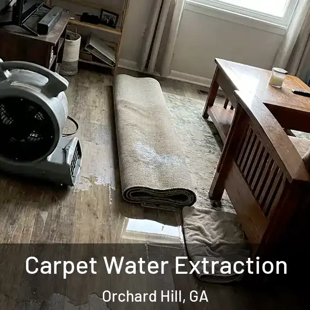  Carpet Water Extraction Orchard Hill, GA