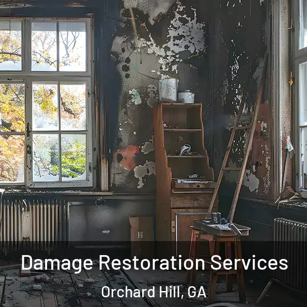  Damage Restoration Services Orchard Hill, GA