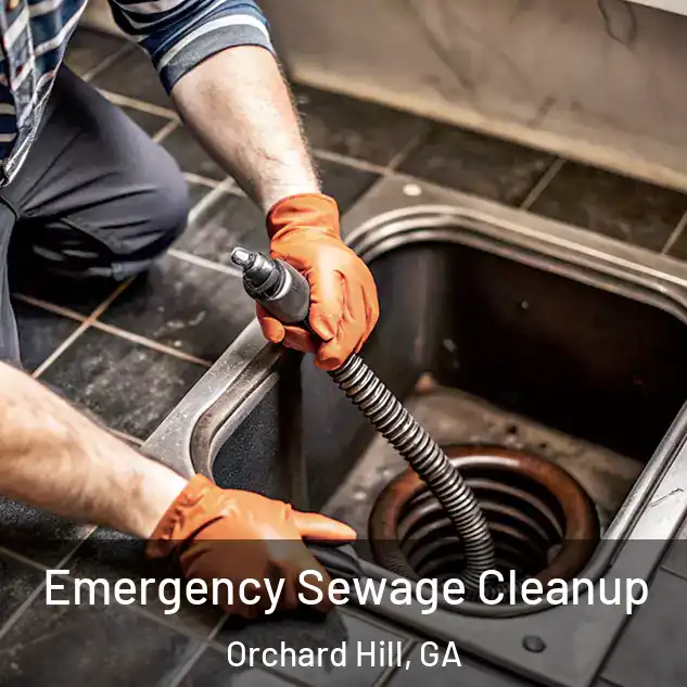  Emergency Sewage Cleanup Orchard Hill, GA