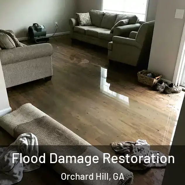  Flood Damage Restoration Orchard Hill, GA