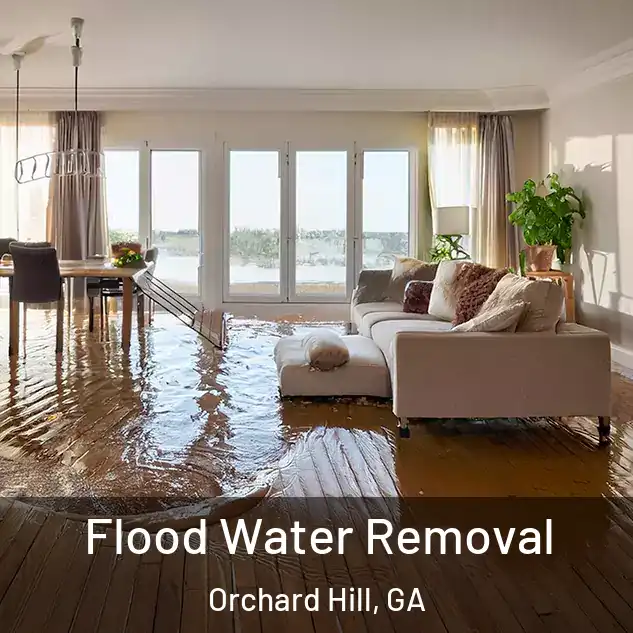  Flood Water Removal Orchard Hill, GA
