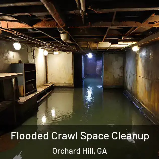  Flooded Crawl Space Cleanup Orchard Hill, GA