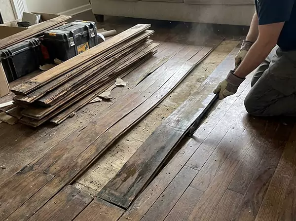 Water Damage Drying in Orchard Hill