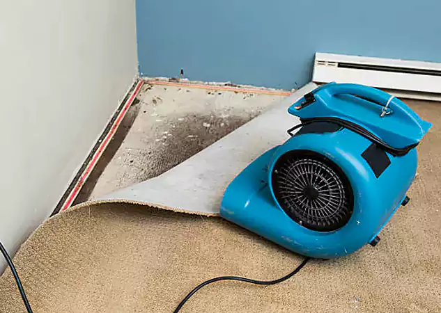Your Water Damage Experts in Orchard Hill, GA