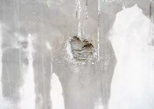 Your Mold Mitigation Solutions Partner in Orchard Hill, GA
