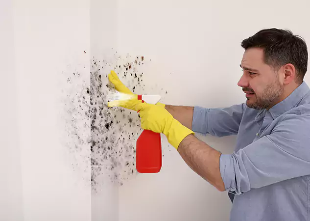 Your Water Mold Fire Restoration Partner in Orchard Hill, GA