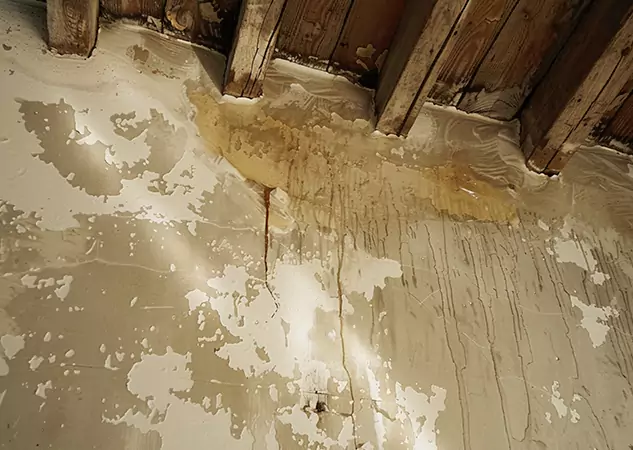 Your Trusted Restoration Company in Orchard Hill, GA