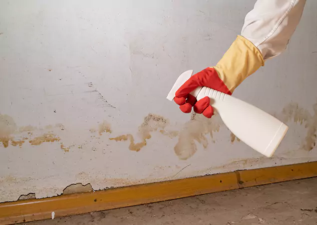 Your Water Restoration and Mold Remediation Specialists in Orchard Hill, GA