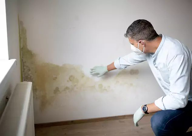 Reach Our Remediation Team Before Damage Grows in Orchard Hill, GA!
