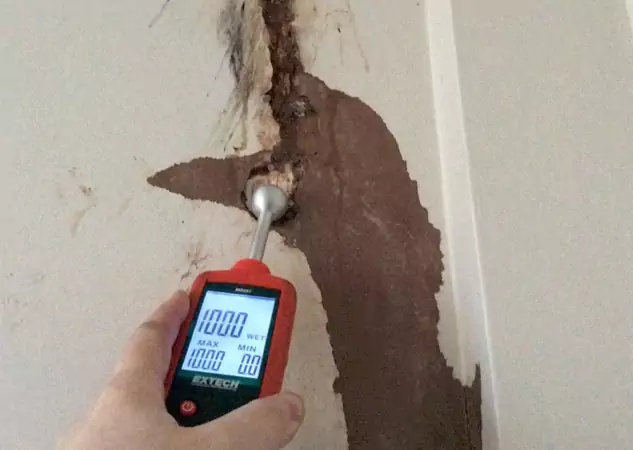 Your Water Damage Assessment Partner in Orchard Hill, GA