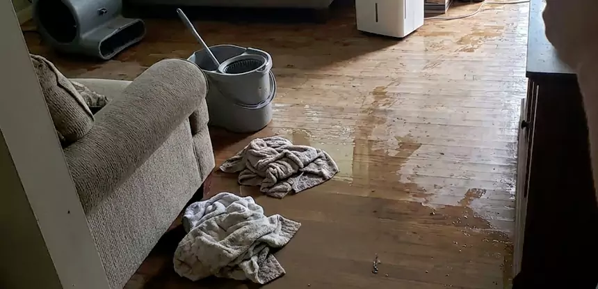Professional Basement Water Remediation Services in Orchard Hill, GA