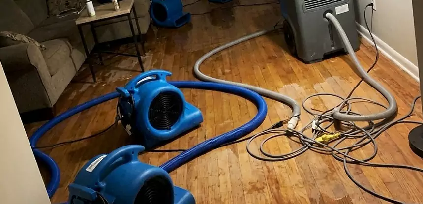 Basement Flood Restoration Services in Orchard Hill