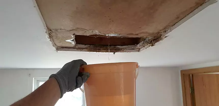 Ceiling Mold Repair Orchard Hill
