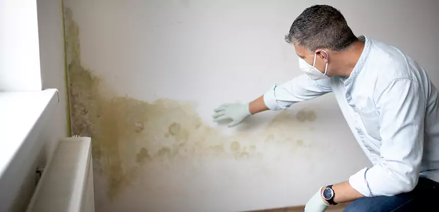 Mold and Water Damage Repair in Orchard Hill