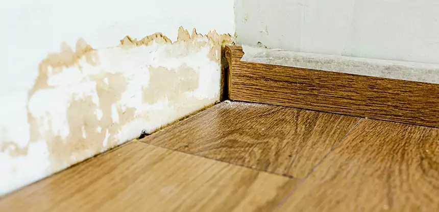 Professional Fix Water Damaged Wood Services in Orchard Hill, GA
