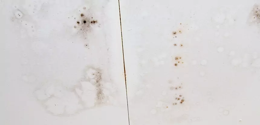 Professional Water Stain Repair Services in Orchard Hill, GA