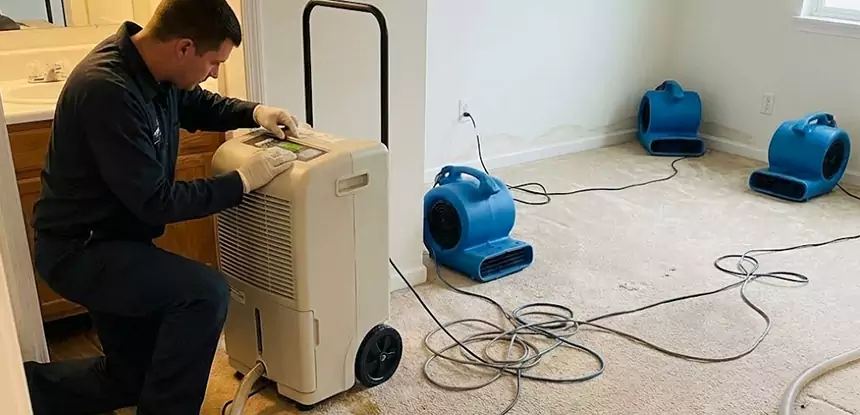 Professional Wet Carpet Removal Services in Orchard Hill, GA