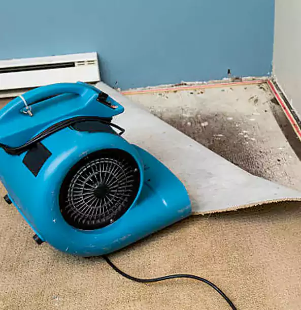Why Orchard Hill Trusts Orchard Hill Restoration Pro for Carpet Flood Recovery?