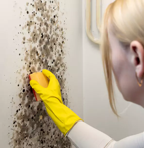 Why Orchard Hill Restoration Pro Leads Mold Remediation in Orchard Hill?