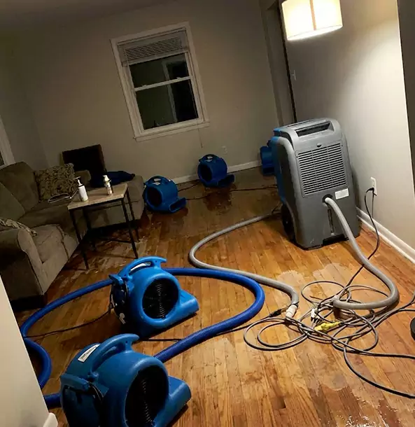 Why Orchard Hill Property Owners Rely on Orchard Hill Restoration Pro for Remediation?