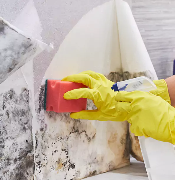 Why Orchard Hill Trusts Orchard Hill Restoration Pro for Mold and Water Restoration?