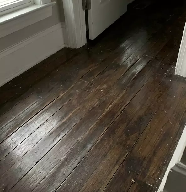 Why Orchard Hill Homeowners Trust Orchard Hill Restoration Pro to Fix Water Damaged Wood?