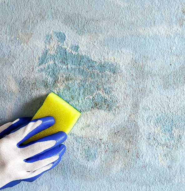Why Orchard Hill Restoration Pro Is the Right Choice in Orchard Hill, GA?