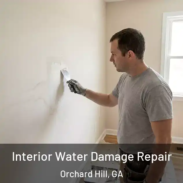  Interior Water Damage Repair Orchard Hill, GA