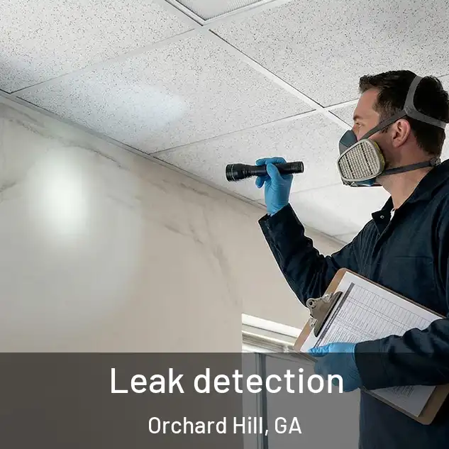  Leak detection Orchard Hill, GA