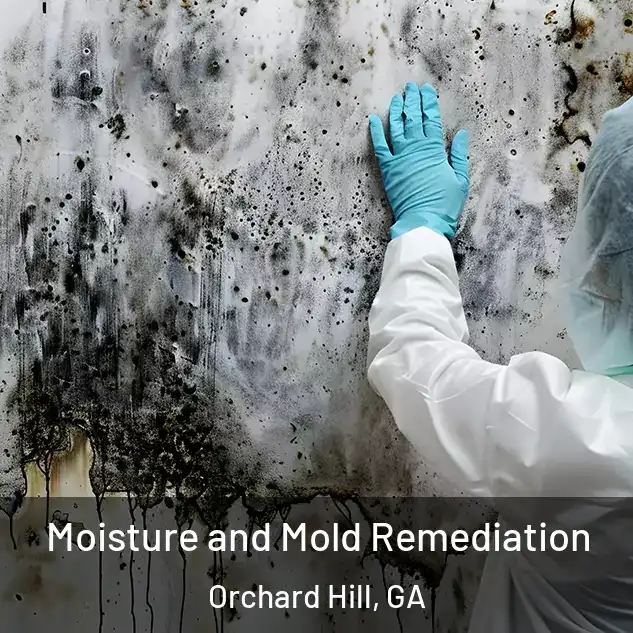  Moisture and Mold Remediation Orchard Hill, GA