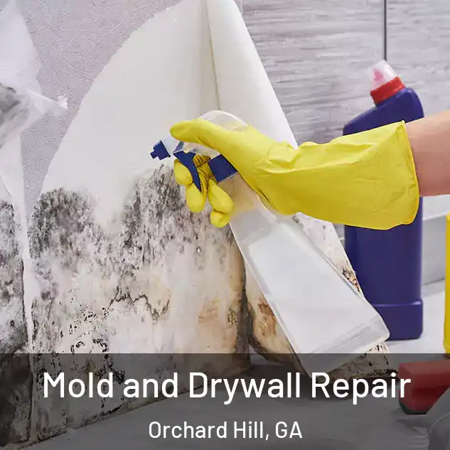  Mold and Drywall Repair Orchard Hill, GA