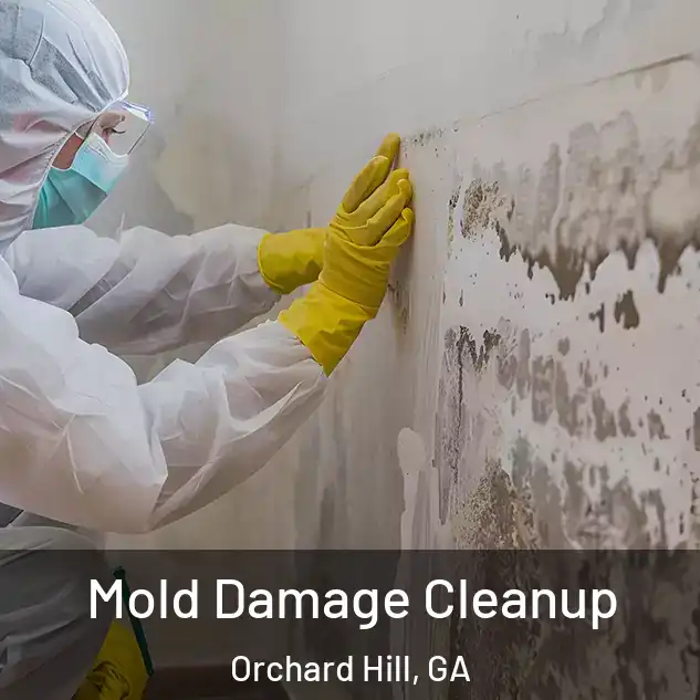  Mold Damage Cleanup Orchard Hill, GA