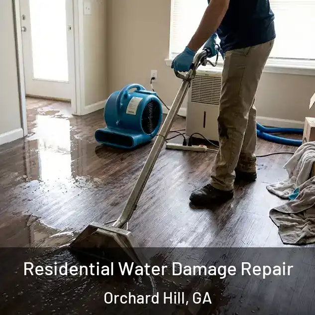  Residential Water Damage Repair Orchard Hill, GA
