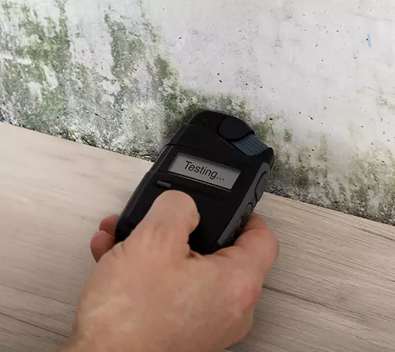 Mold Remediation Service Orchard Hill