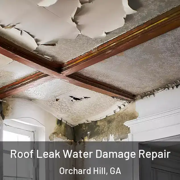 Roof Leak Water Damage Repair Orchard Hill, GA