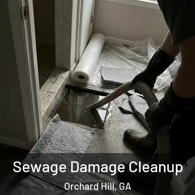  Sewage Damage Cleanup Orchard Hill, GA