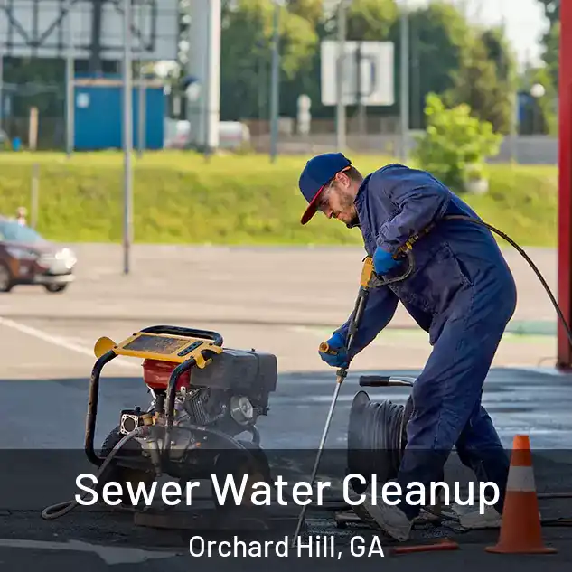 Sewer Water Cleanup Orchard Hill, GA