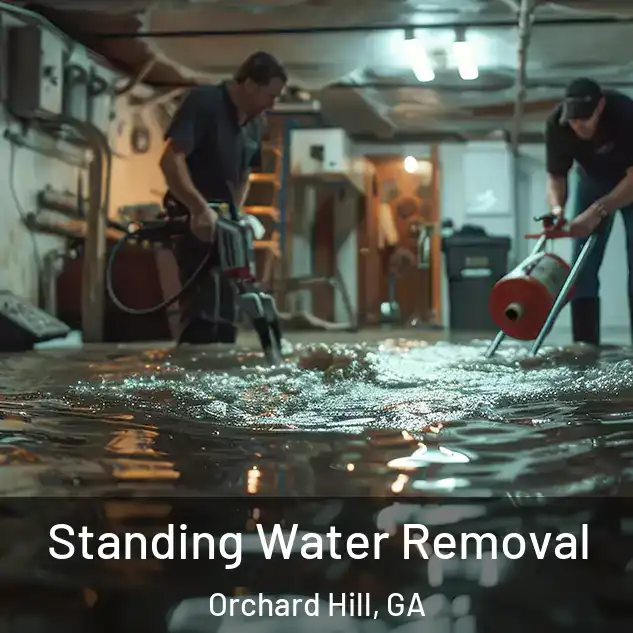  Standing Water Removal Orchard Hill, GA