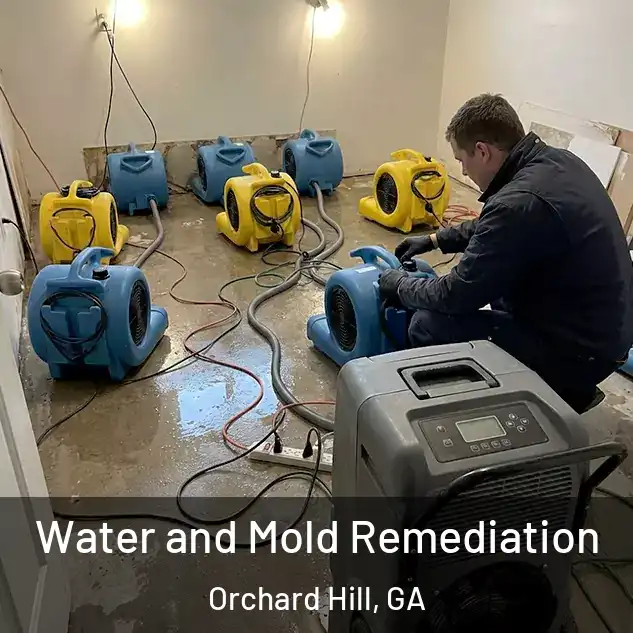  Water and Mold Remediation Orchard Hill, GA