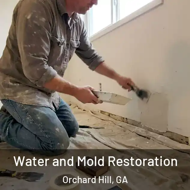  Water and Mold Restoration Orchard Hill, GA