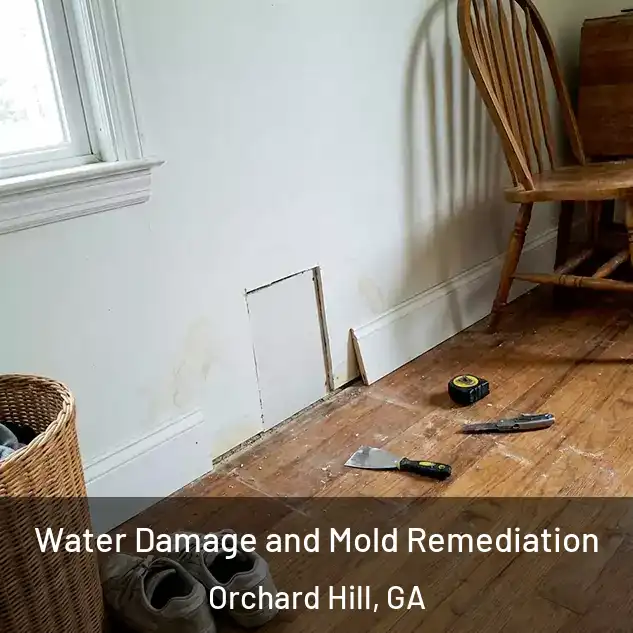  Water Damage and Mold Remediation Orchard Hill, GA
