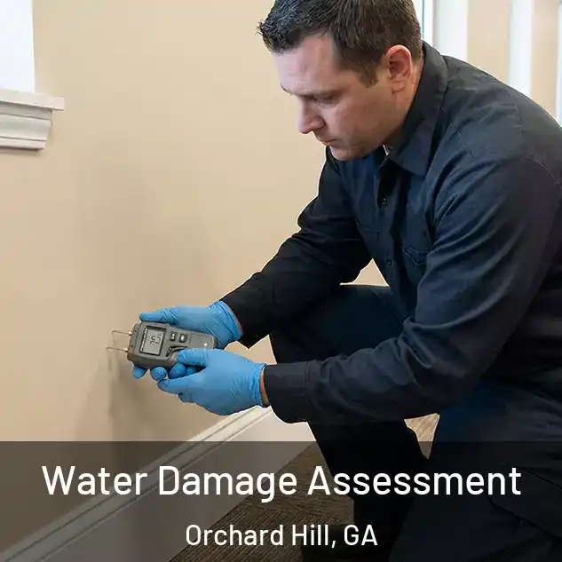  Water Damage Assessment Orchard Hill, GA