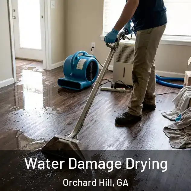  Water Damage Drying Orchard Hill, GA