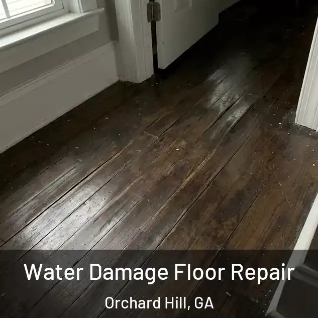  Water Damage Floor Repair Orchard Hill, GA