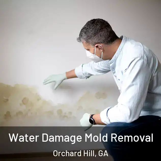  Water Damage Mold Removal Orchard Hill, GA