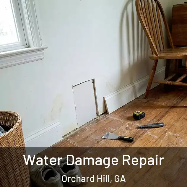  Water Damage Repair Orchard Hill, GA