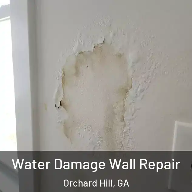  Water Damage Wall Repair Orchard Hill, GA